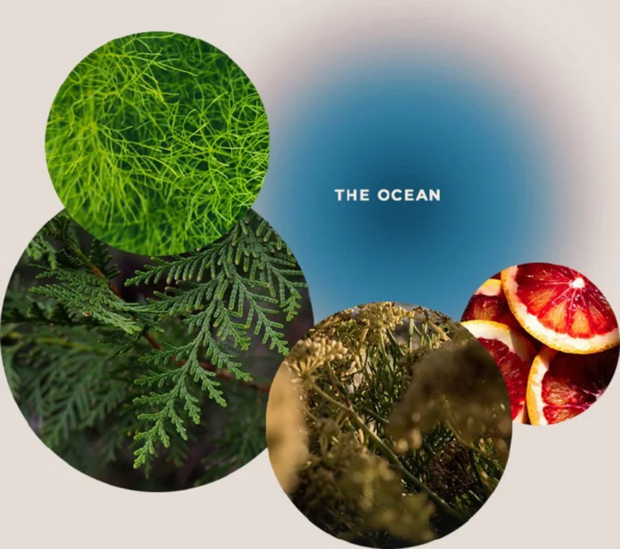 GIVING LOVE TO Badsalt "Uppfriskande Havsbad" - The Ocean, 100 g Erbjudande