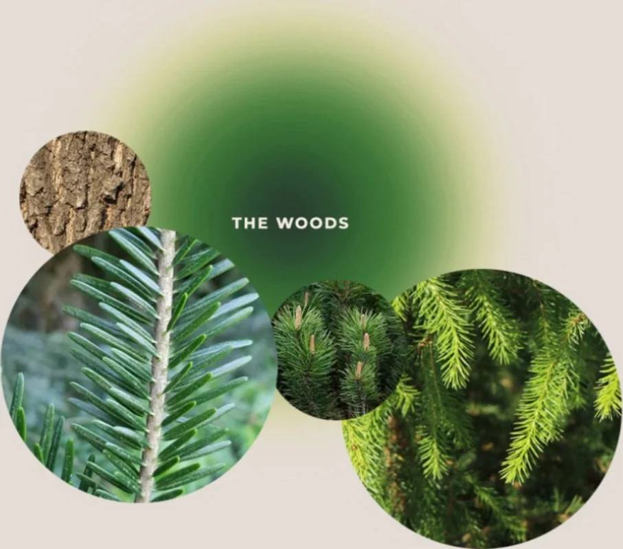 Beställ nu GIVING LOVE TO Kropps- & Massageolja "Stärkande Skogskärlek" - The Woods, 100 ml